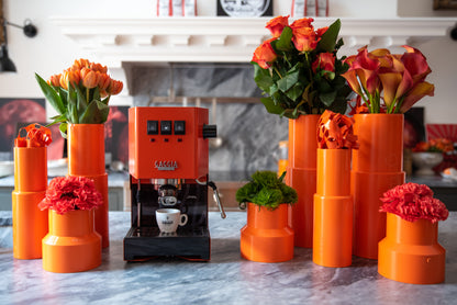 Gaggia Classic Evo Pro E24